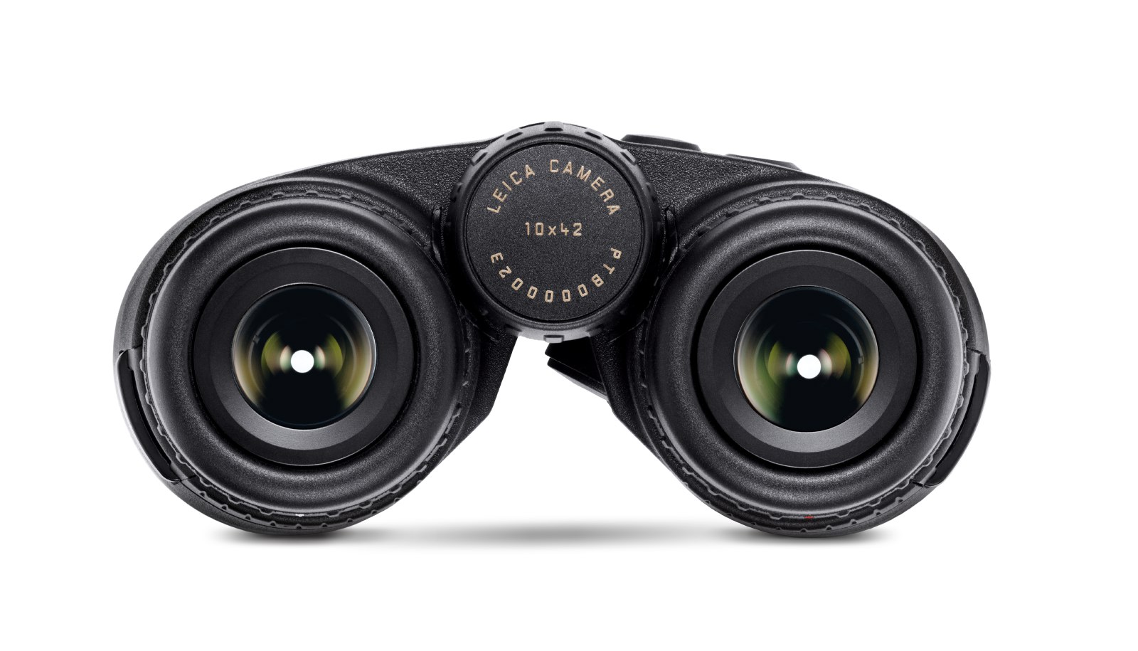 Geovid R 10x42