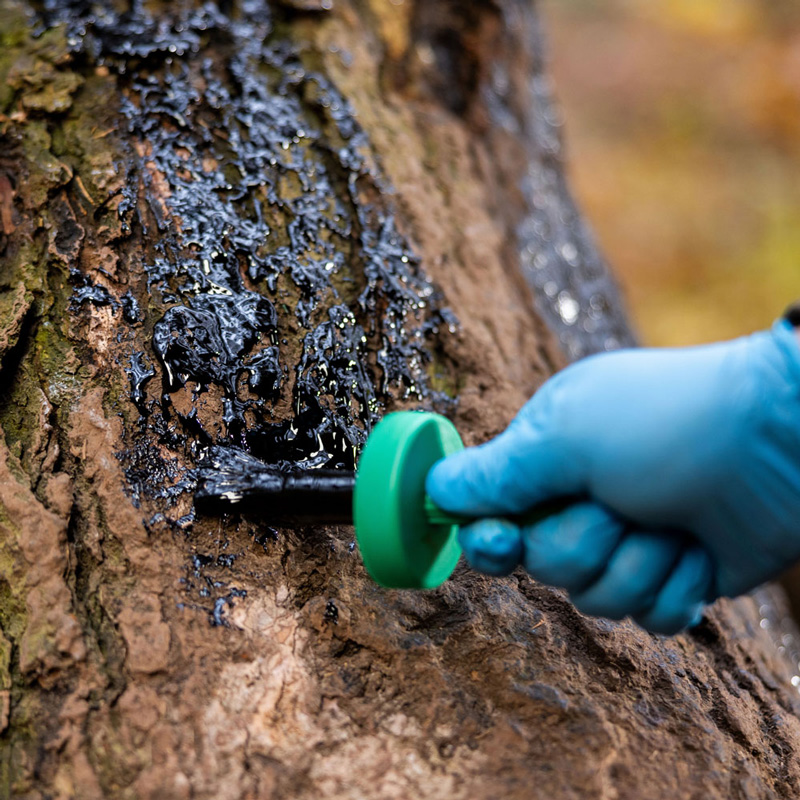Buchenholzteer mit Pinsel 500ml