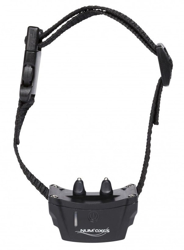 NUM'axes Canifugue Halsband