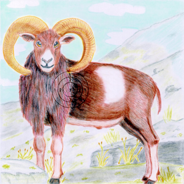 Schießscheibe bunte Tierscheibe mit Muflon-Motiv, graues Gebirge im Hintergrund, quadratisches Bild