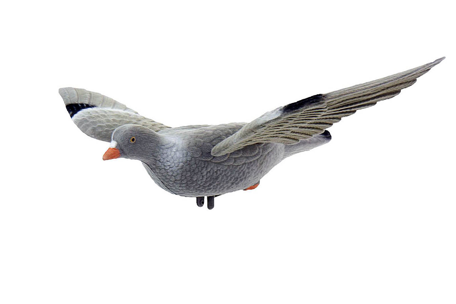 Beflockte Taube mit Flügeln