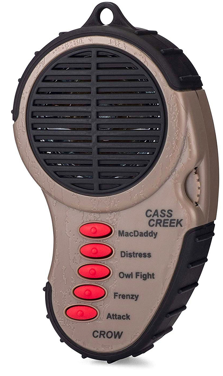 Cass Creek Krähenlocker
