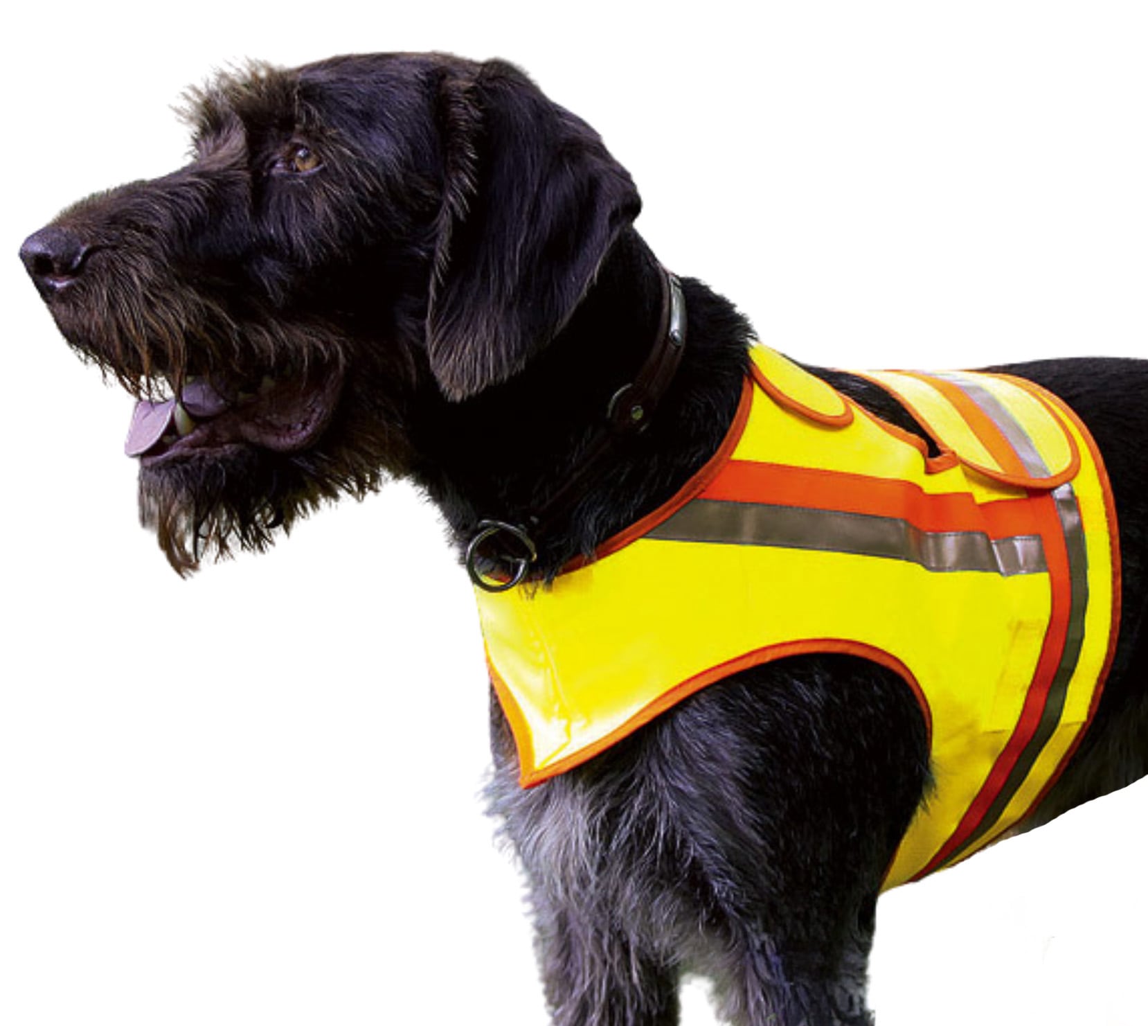 Reflektorweste Gr. 3 Stöberhunde / Vorstehhunde 9