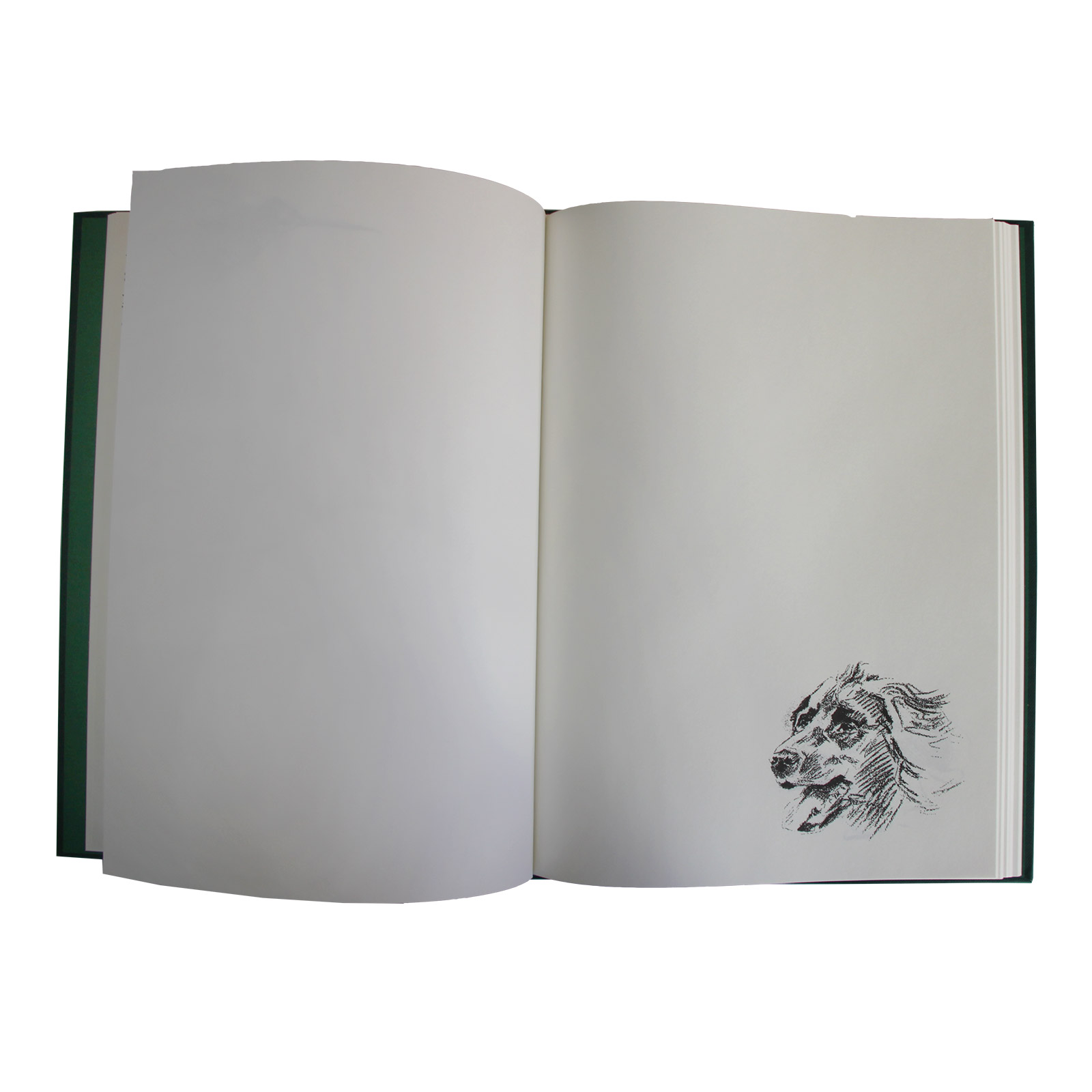 Schuss-/Jagdtagebuch Schatz