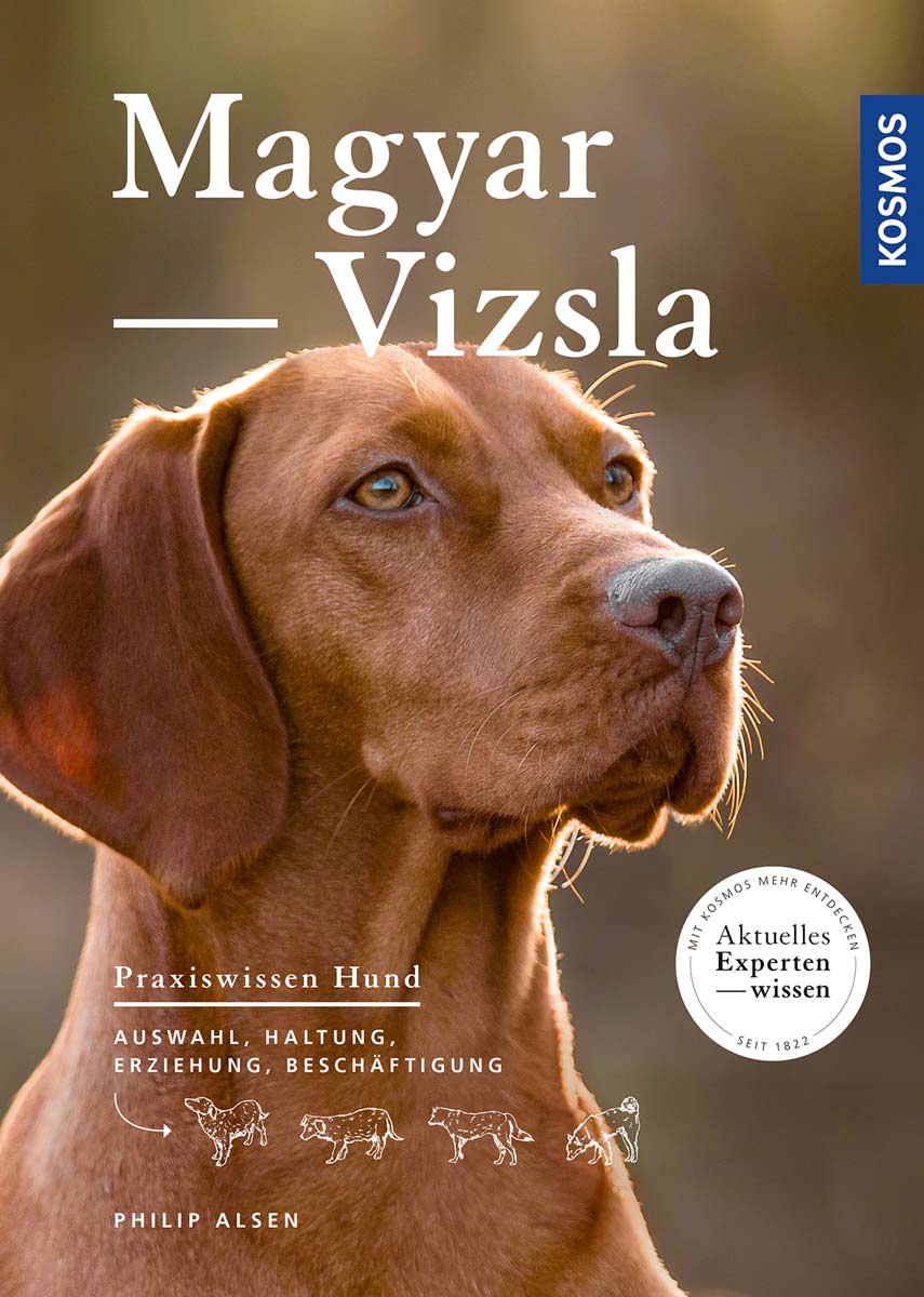 Magyar Vizsla Philip Alsen