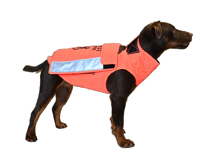 Die Hundeschutzweste Protect Hunter Orange von Browning, Seite