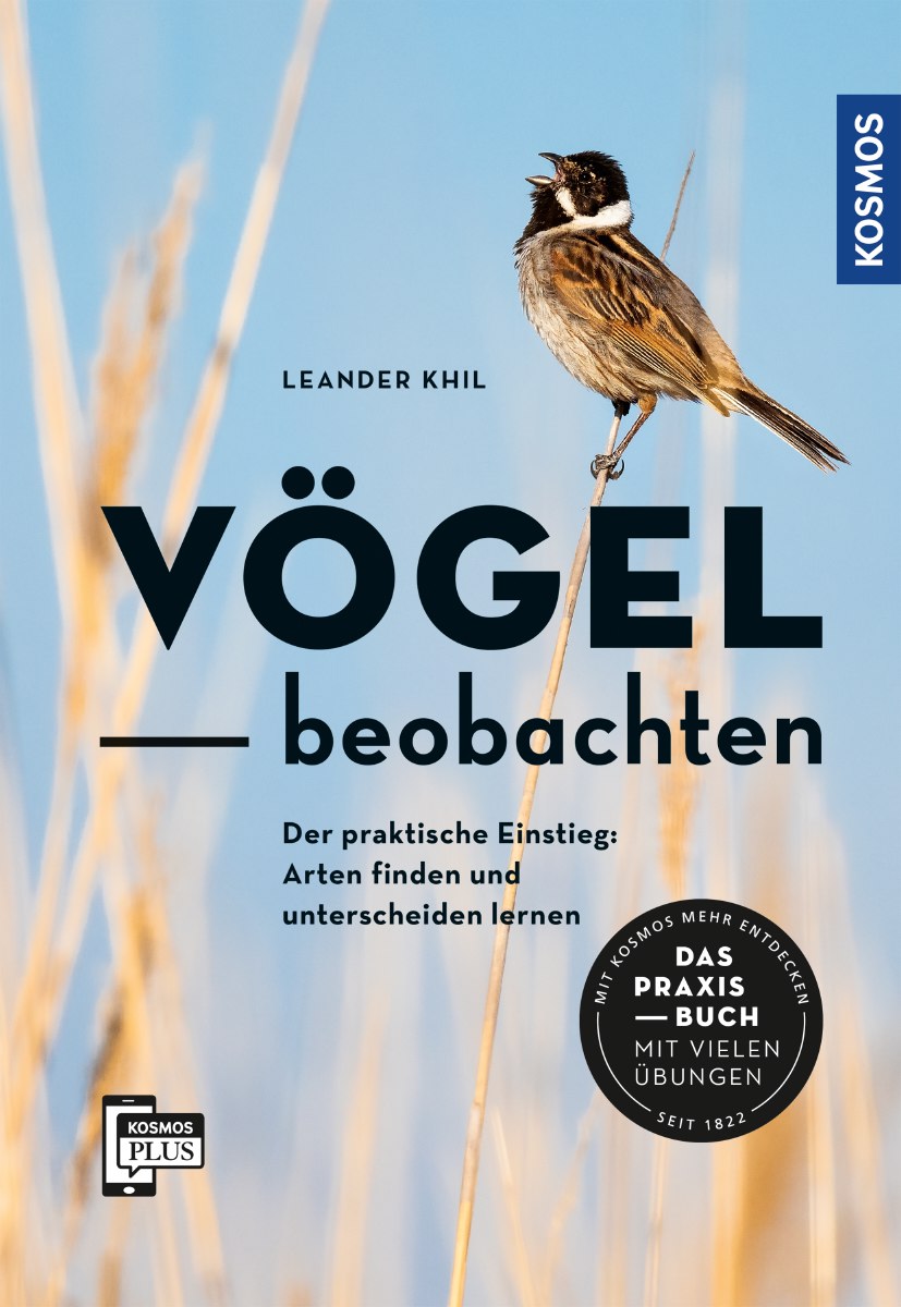 Vögel beobachten Leander Khil