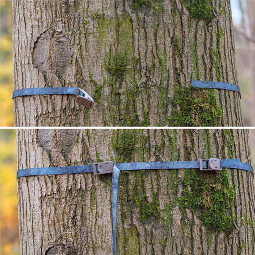 Zeiss Secacam Baumgurt am Baum befestigt