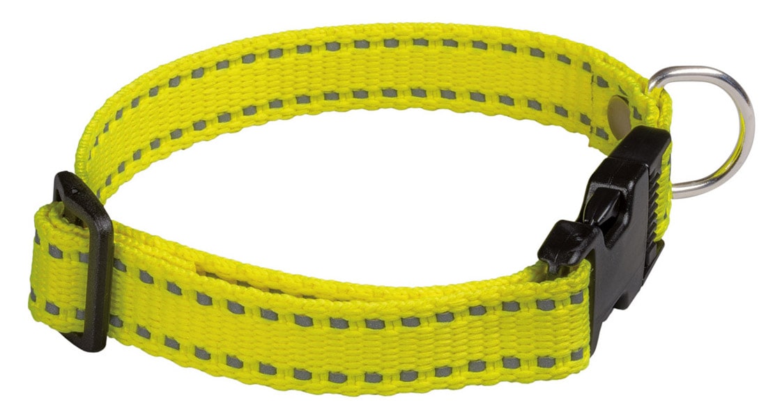 Mitwachsendes Welpenhalasband von AKAH verstellbar bis 40 cm Halsumfang