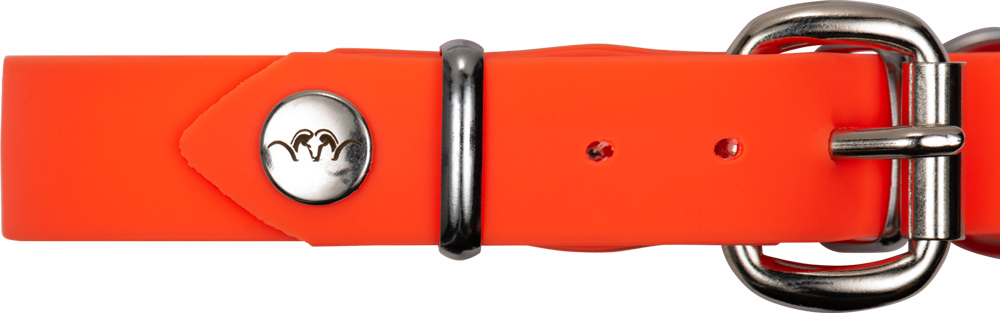 Detailansicht des Schnallenverschlusses der Blaser Hundehalsung Professional, ein Halsband aus PU-Material