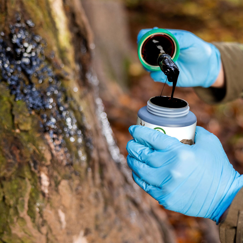 Buchenholzteer mit Pinsel 500ml