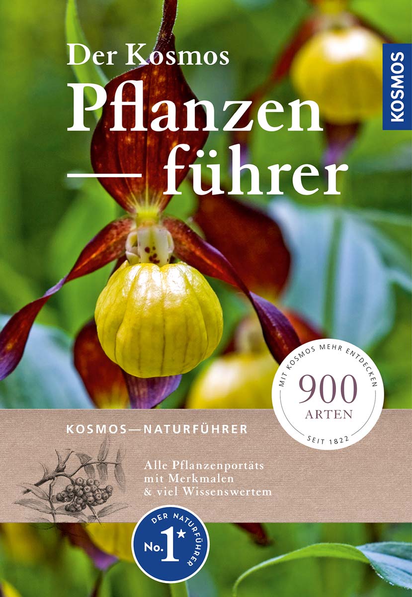Der Kosmos-Pflanzenführer Naturführer