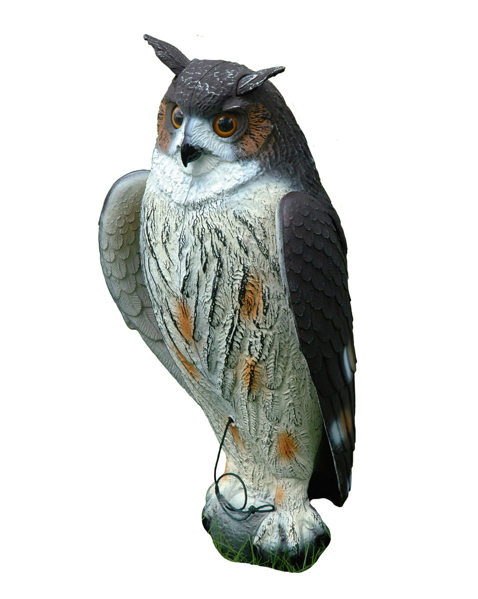 Hüttenuhu mit beweglichen Schwingen