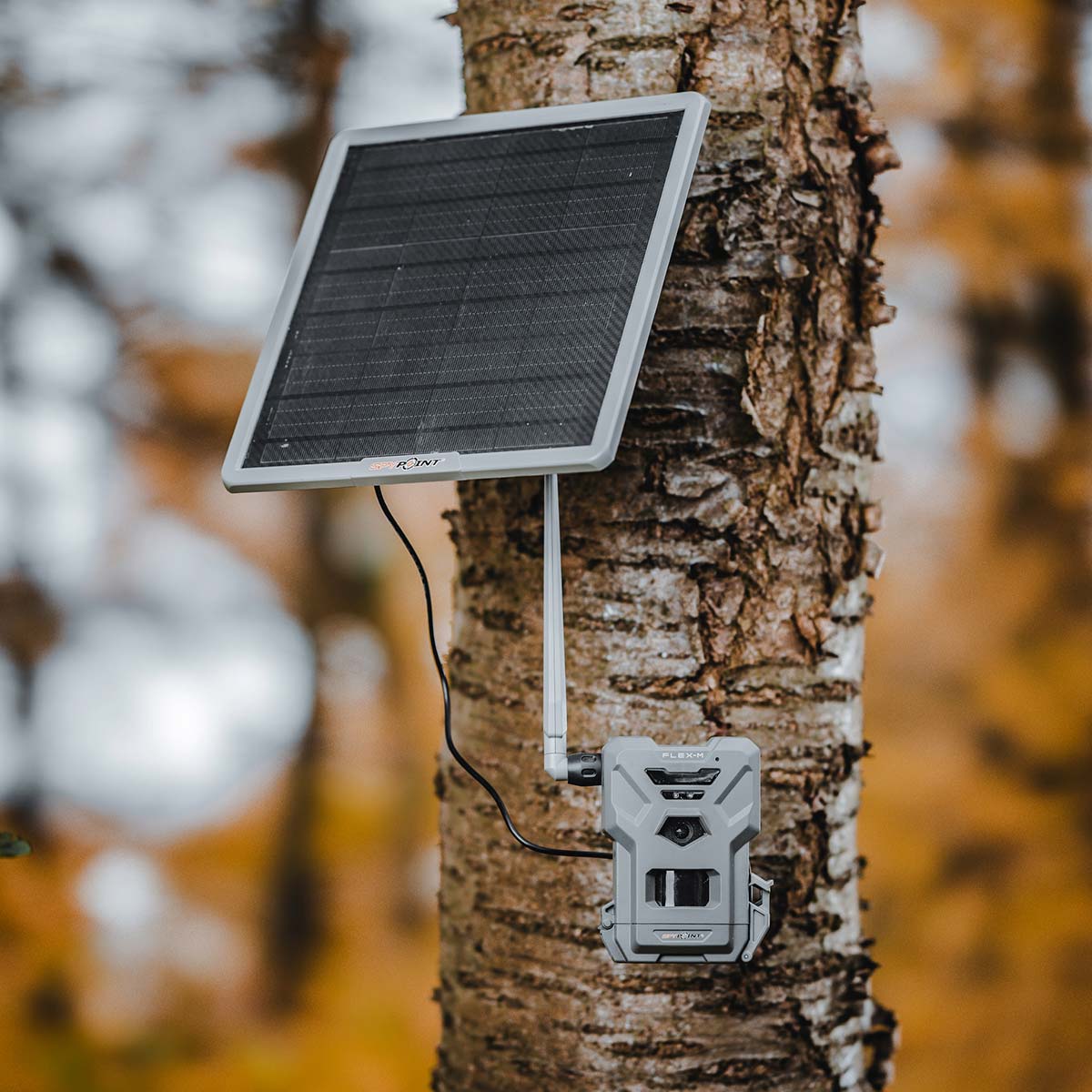 Flex-M & SOLAR-22 Bundle