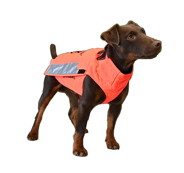 Die Hundeschutzweste Protect Hunter Orange von Browning, vorne
