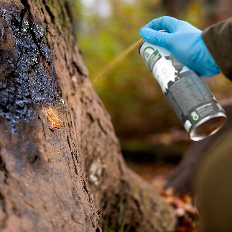 Buchenholzteer Sprühdose 500ml