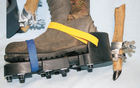 Waidwerk Faehrtenschuh Premium erweiterbar mit Stollen, Unterseite