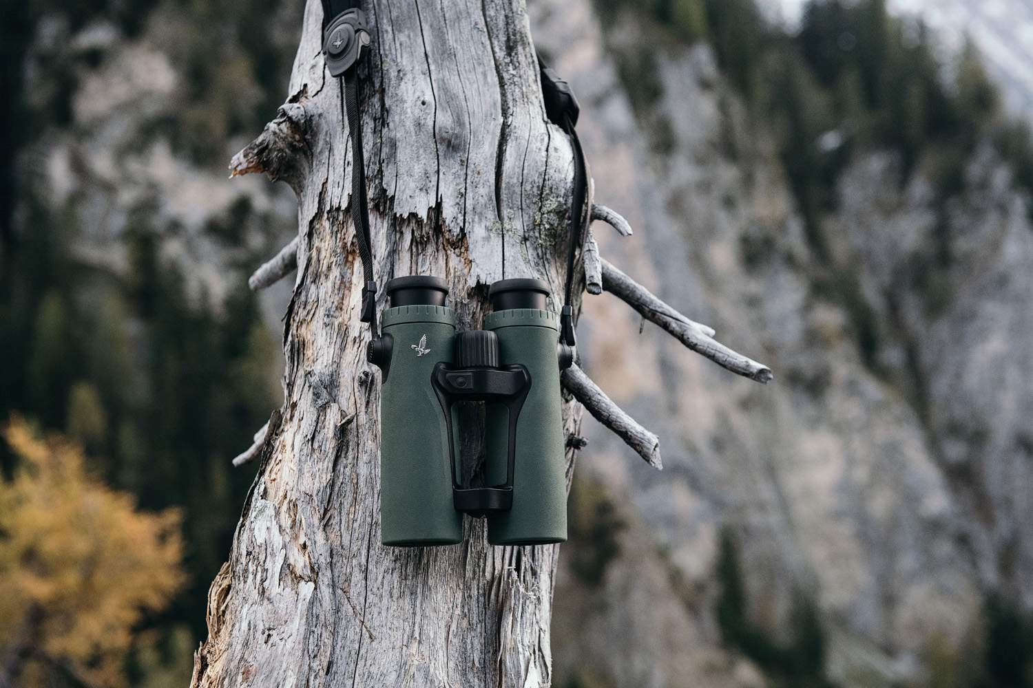 EL Range TA 10x42 W B Grün