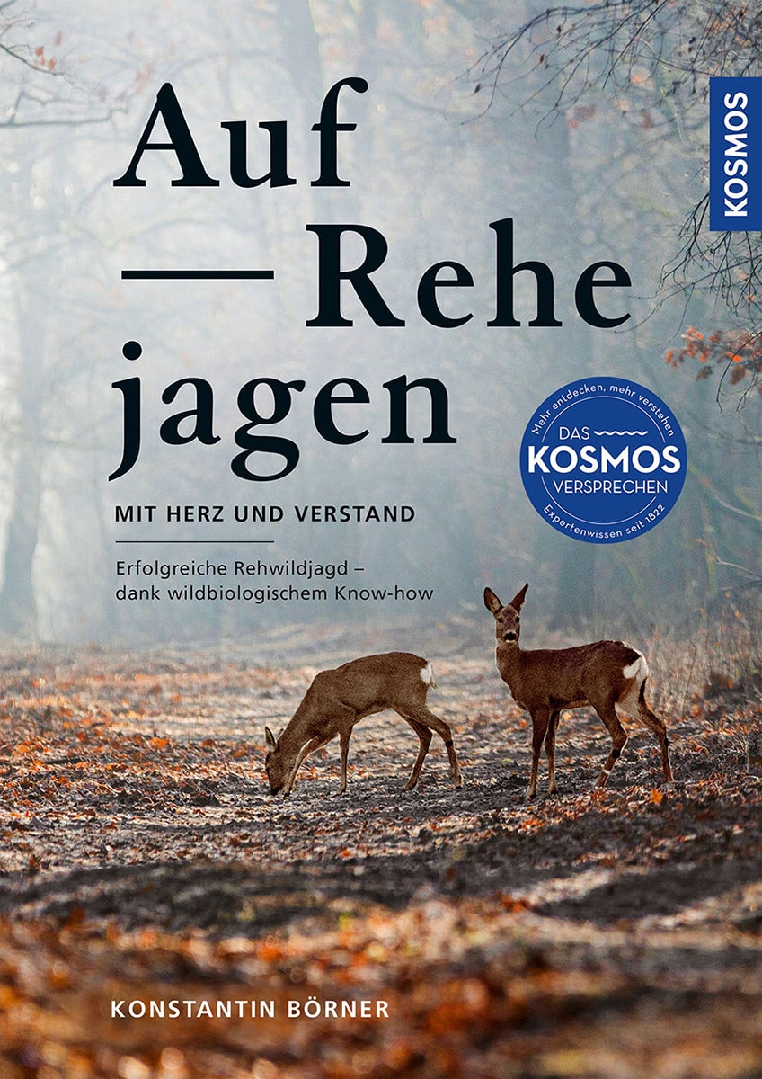 Auf Rehe jagen Börner