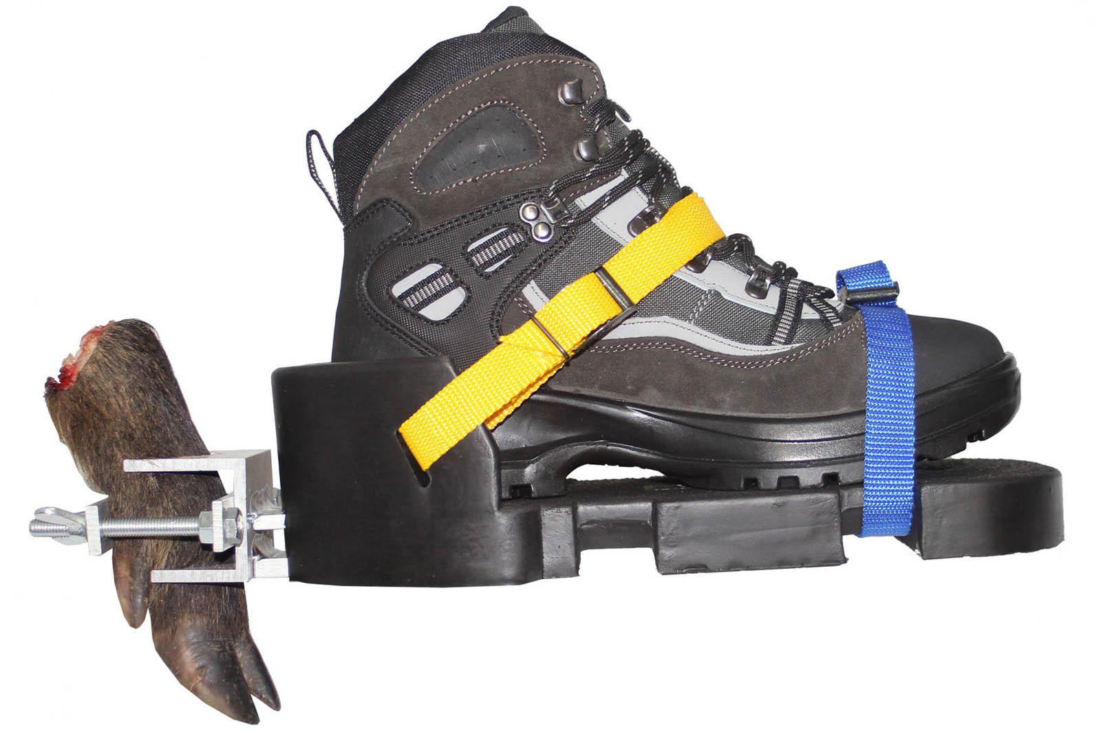 Waidwerk Faehrtenschuh Premium mit Schalenhalter, Vorderseite