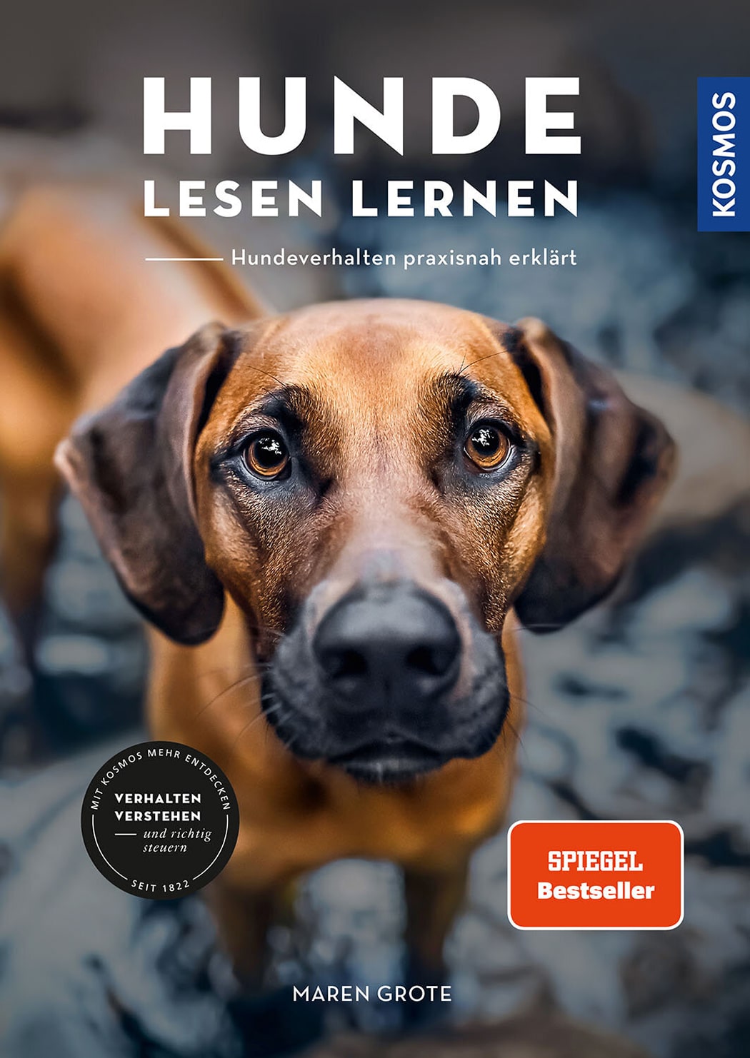 kosmos buch „hunde lesen lernen“ – vorderseite des buchcovers