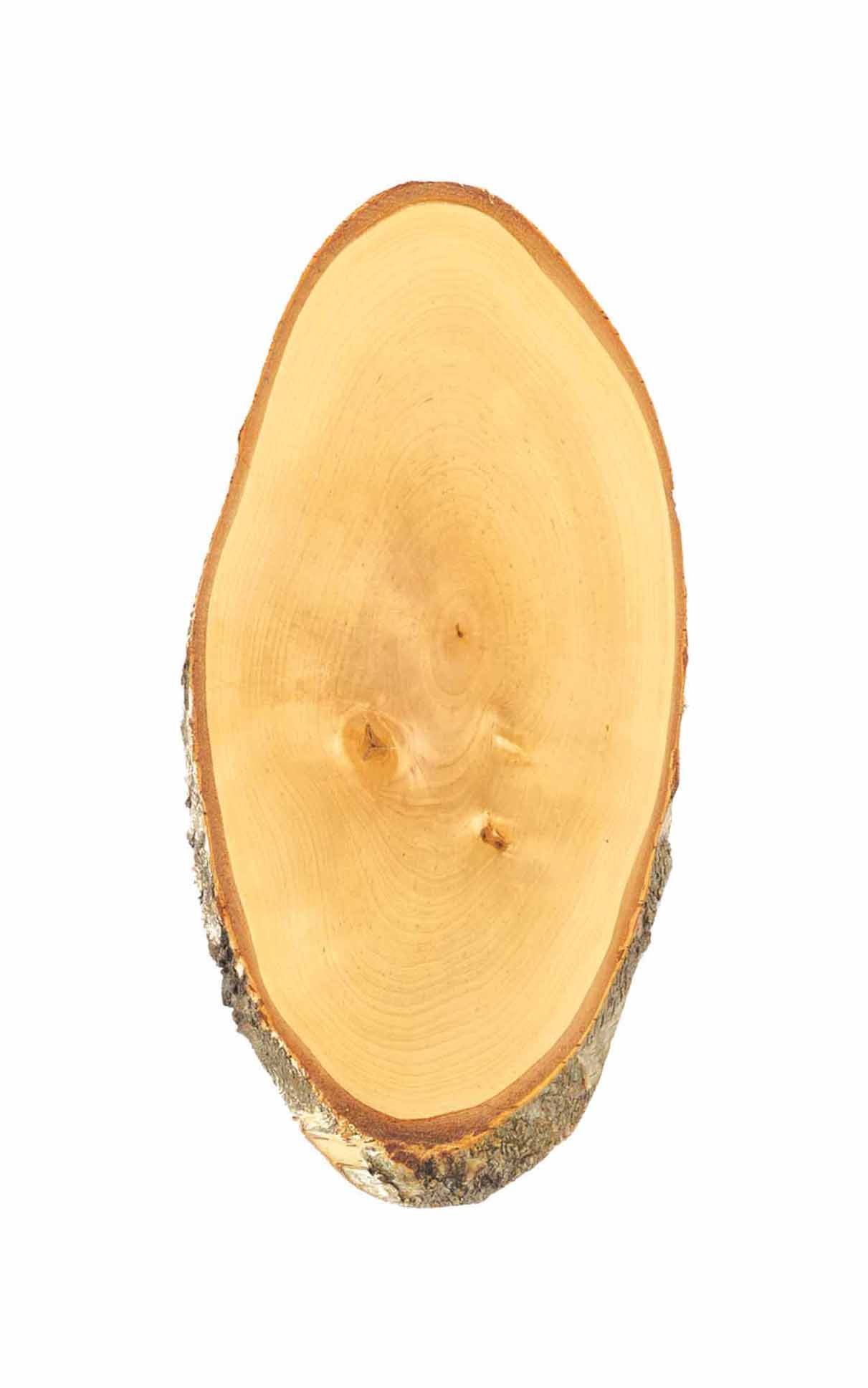 Gehörnbrett 35-39x20cm Birke