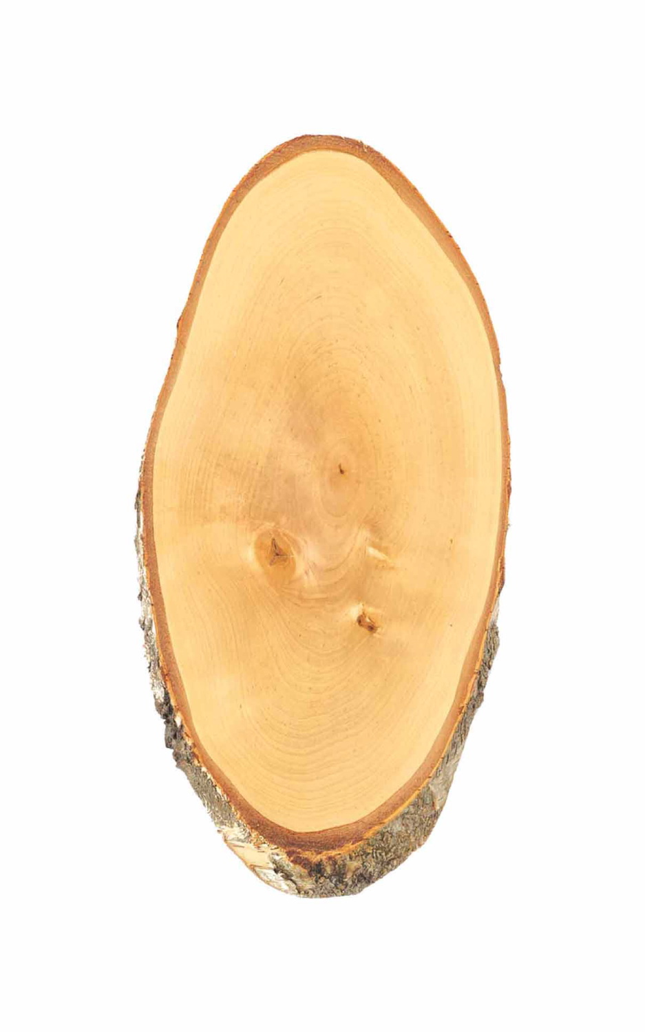 Geweihbrett 50-55x25cm Birke