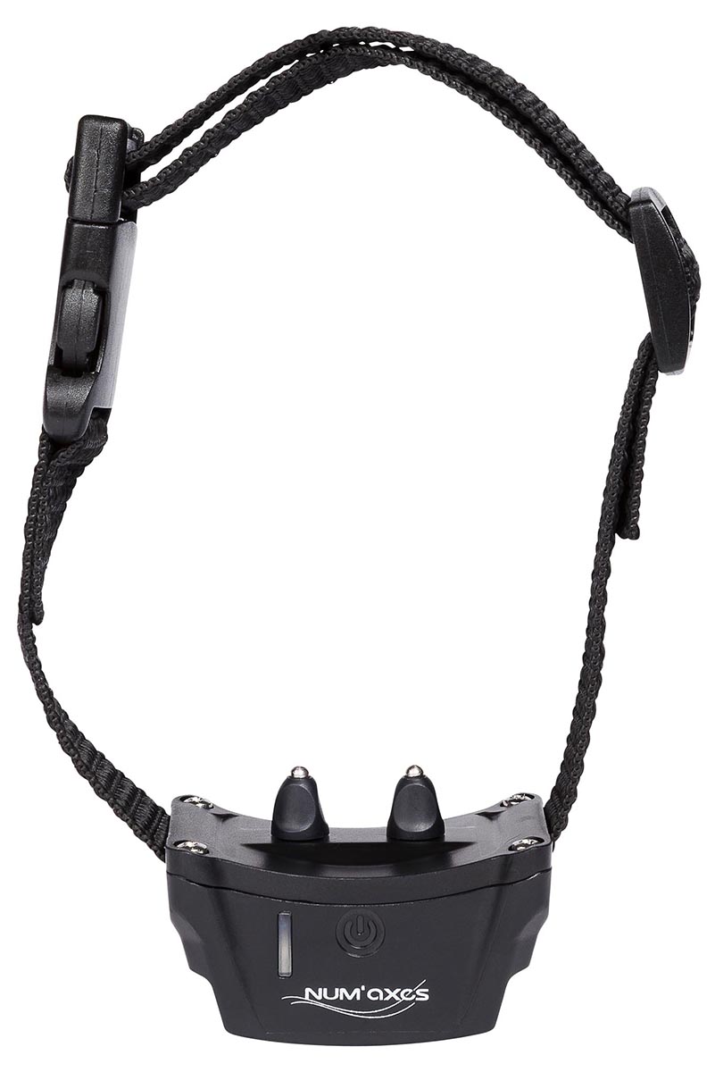 NUM'axes Canifugue Classic – separates Halsband ohne Empfänger